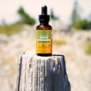 usda-organic-ginger-root-extract-digesti-4.jpg