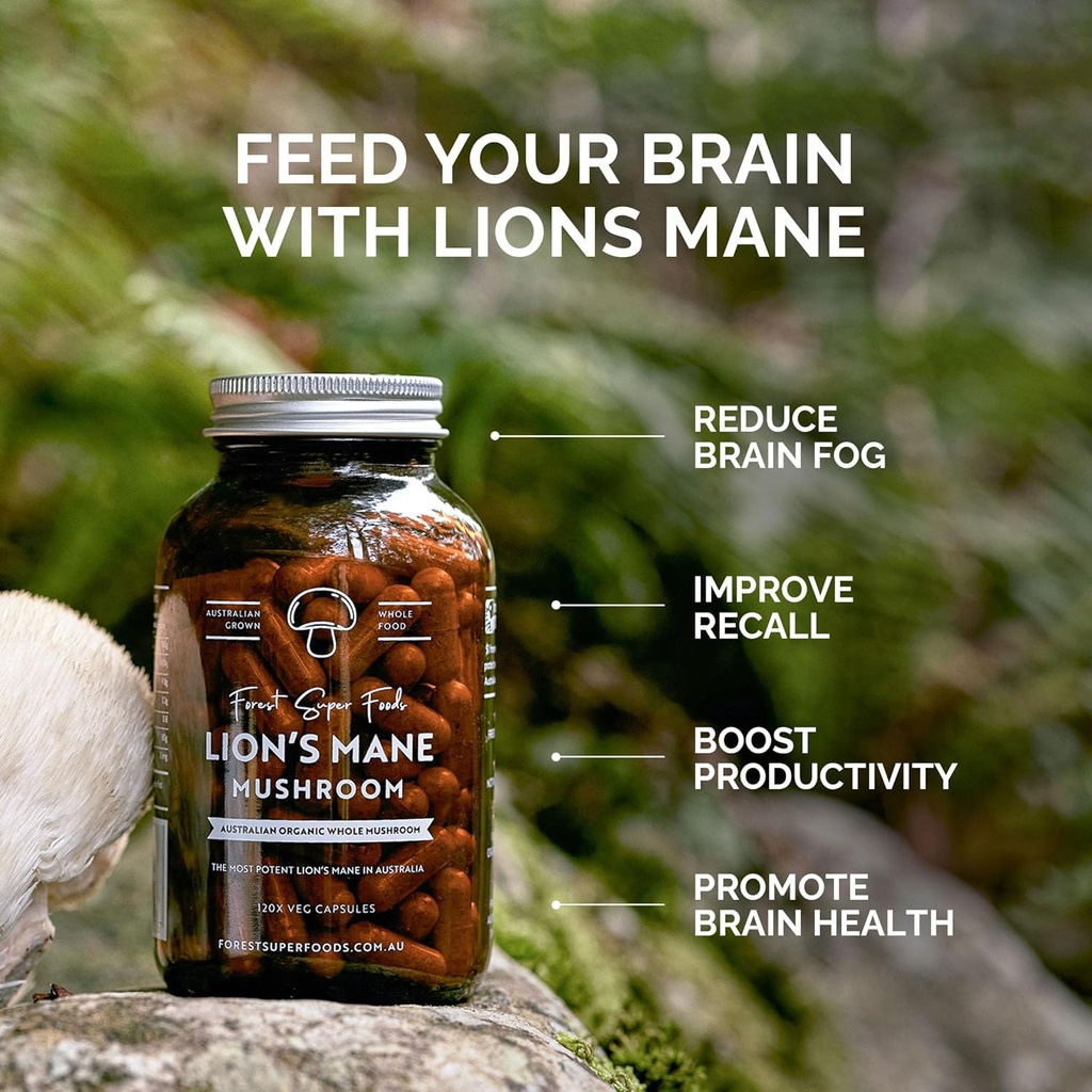 forest-super-foods-lions-mane-mushroom-c-2.jpg