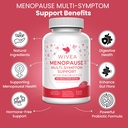 menopause-multi-symptom-support-with-pro-2.jpg