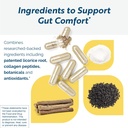 researched-nutritionals-renewgut---gi-co-3.jpg