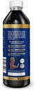 herbal-goodness-memory-and-cognition-liq-2.jpg
