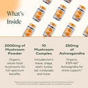 om-master-blend-mushroom-gummies---organ-4.jpg