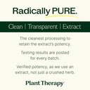 plant-therapy-lions-mane-mushroom-supple-5.jpg