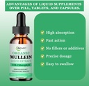mullein-drops-for-lungs-powerful-mullein-3.jpg