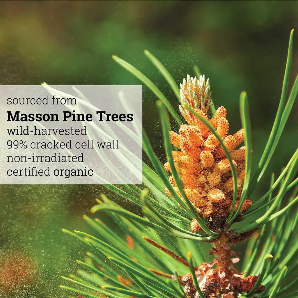 incas-100-usda-organic-pine-pollen-powde-4.jpg