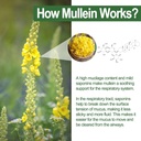 neviss-mullein-gummies-for-lungs-organic-4.jpg