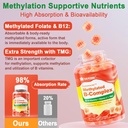 vitamin-b-complex-filled-gummies-vegan-o-4.jpg