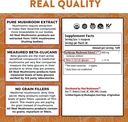 real-mushrooms-hot-chocolate-mix-15-serv-6.jpg