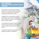 bee-and-you-bundle-propolis-extract-raw--4.jpg