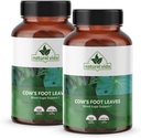 pata-de-vaca---cows-foot-leaves---100-ve-3.jpg