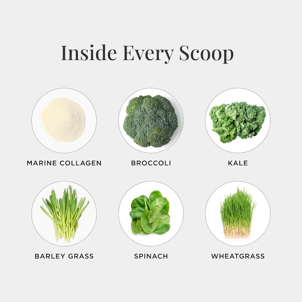 jshealth-super-greens-powder---greens-co-3.jpg