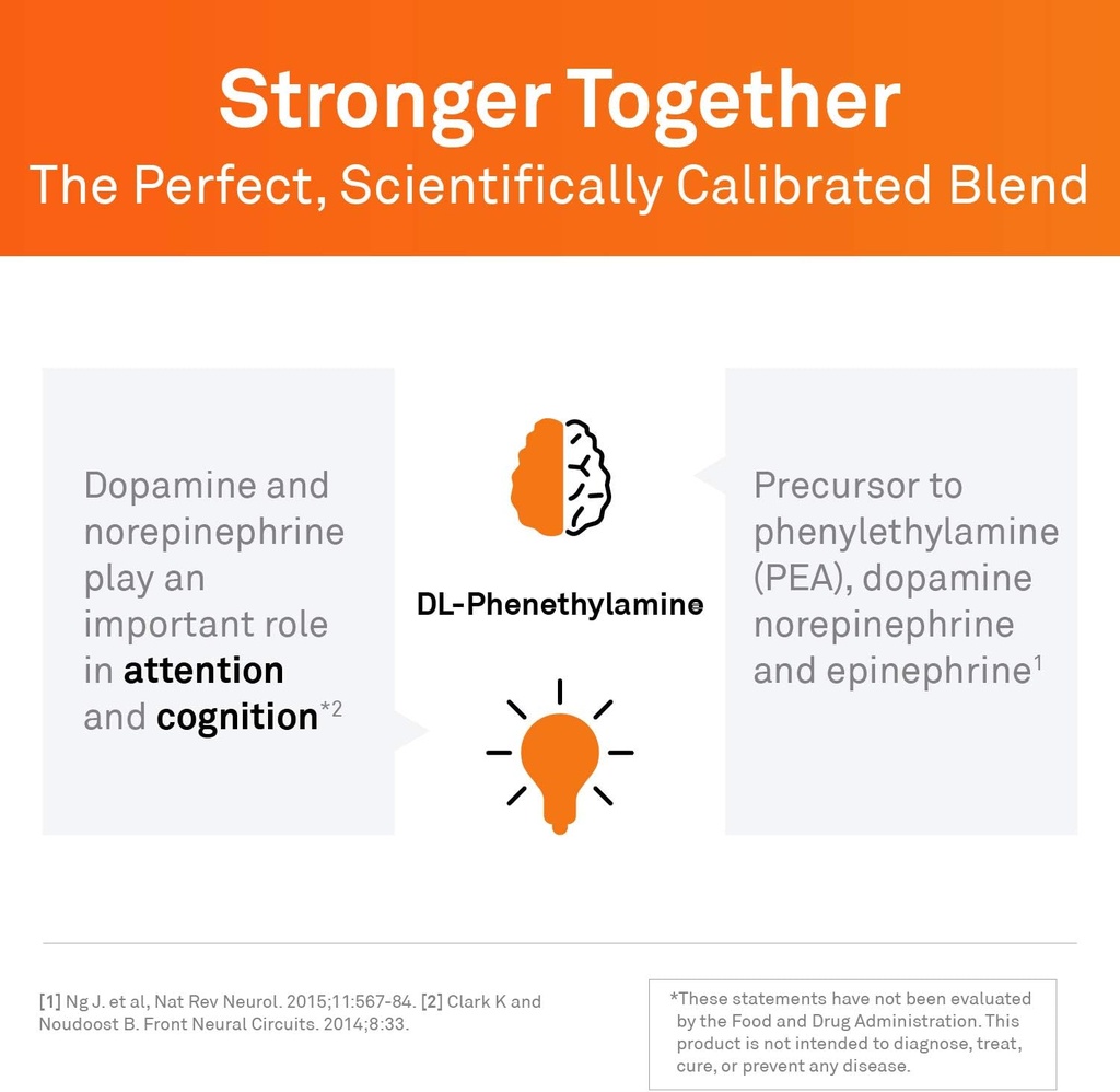 neuroscience-focus-dl-brain-supplements--5.jpg
