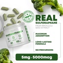 5000mcg-of-real-lab-verified-sulforaphan-5.jpg