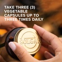 solgar-l-glutamine-500-mg---100-vegetabl-3.jpg