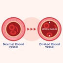 xtendlife-vasqflow-nitric-oxide-booster--5.jpg
