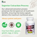sayan-siberian-chaga-and-organic-reishi--3.jpg