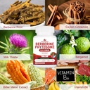 7-in-1-berberine-phytosome-with-ceylon-c-4.jpg