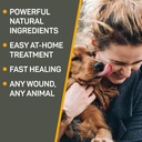 absorbine-silver-honey-hot-spot-wound-ca-2.jpg
