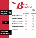 berry-beautiful-organic-meeker-red-raspb-6.jpg