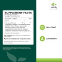 terry-naturally-bacteril---intestinal-su-2.jpg