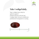 terry-naturally-bacteril---intestinal-su-4.jpg