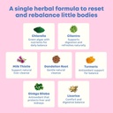 joyspring-herbal-detox-for-kids-cilantro-5.jpg