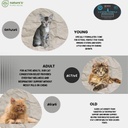 l-lysine-powder-for-cats-and-kittens-chi-6.jpg