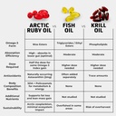 arctic-ruby-oil---omega-3-supplement-wit-3.jpg