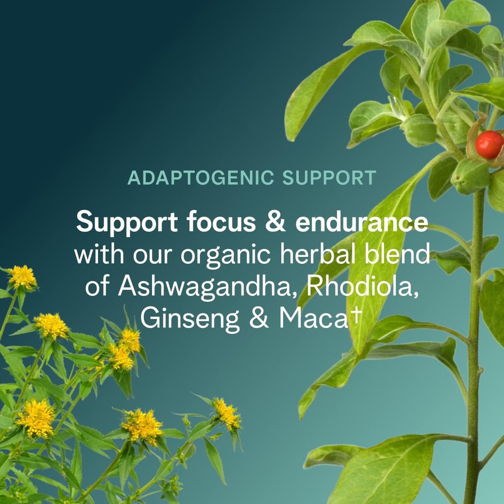 ora-organic-natural-pre-workout-powder---5.jpg