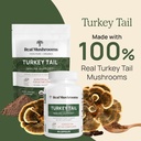real-mushrooms-turkey-tail-powder-for-hu-2.jpg