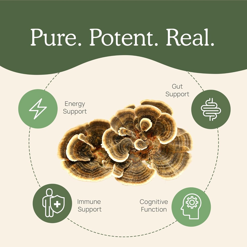 real-mushrooms-turkey-tail-powder-for-hu-4.jpg