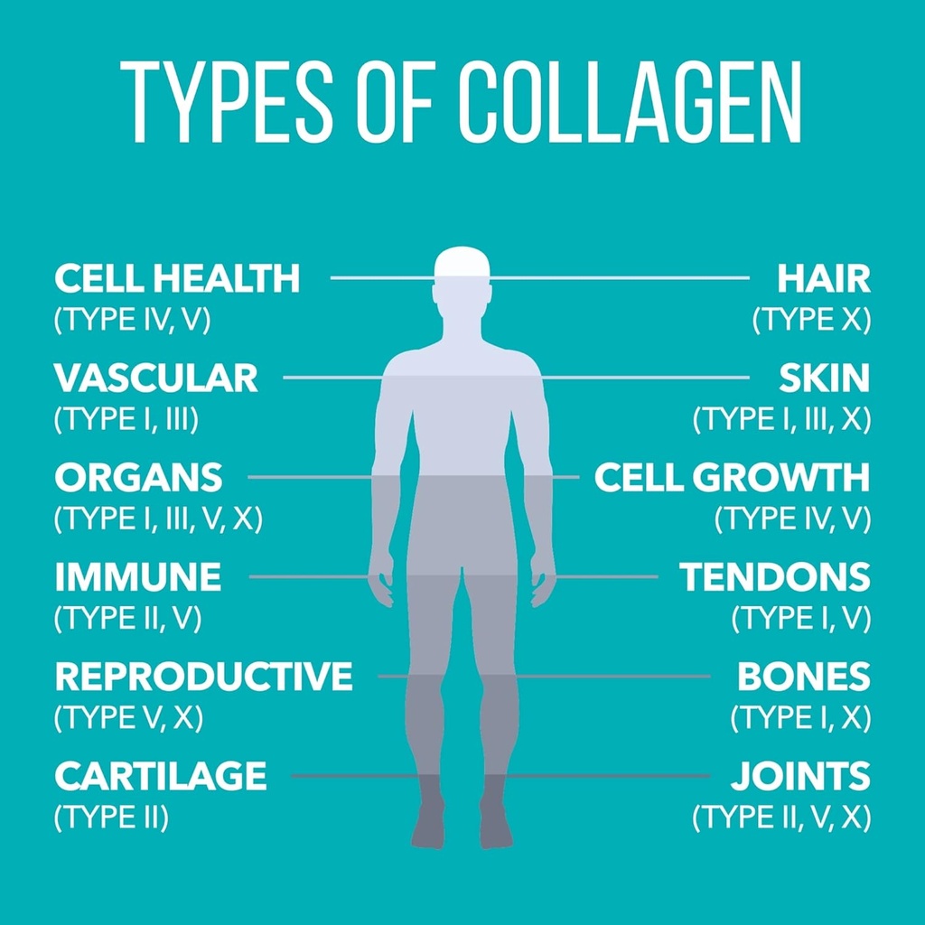 naturesplus-collagen-creamer-vanilla---0-6.jpg