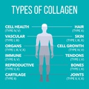 naturesplus-collagen-creamer-vanilla---0-6.jpg
