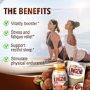 labo-nutrition-bioactive-organic-lingzhi-2.jpg