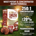 labo-nutrition-bioactive-organic-lingzhi-3.jpg