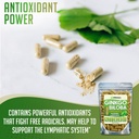 xprs-nutra-ginkgo-biloba-capsules---ging-3.jpg
