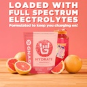 gnarly-nutrition-hydrate-electrolyte-pow-4.jpg