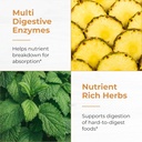 sandhus-debloat-digestive-enzymes-capsul-4.jpg