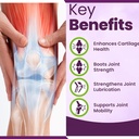 glucosamine-chondroitin-msm-joint-supple-3.jpg