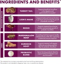 host-defense-mycobotanicals-microbiome-p-5.jpg
