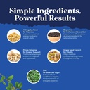 bundle-of-dim-supplement-for-men---diind-6.jpg