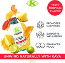 k-tropix-kava-shot-tropical-blast---500m-4.jpg