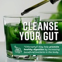 360-nutrition-matcha-chlorophyll-liquid--5.jpg