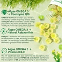 sugar-free-omega-3-fatty-acid-2000mg-wit-4.jpg