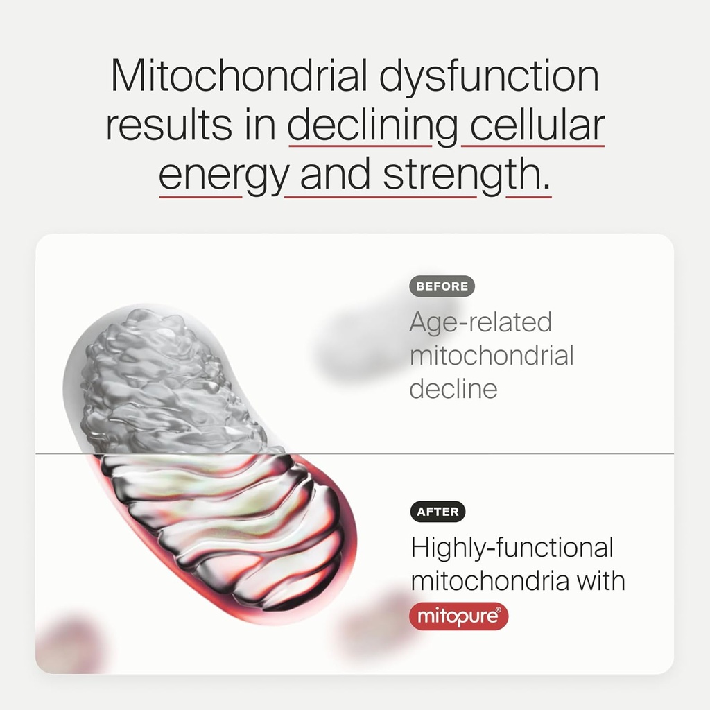 timeline-mitopure-urolithin-a-supplement-4.jpg