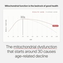 timeline-mitopure-urolithin-a-supplement-5.jpg