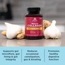 ancient-nutrition-collagen-pills-with-pr-3.jpg