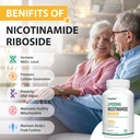orgabay-liposomal-nicotinamide-riboside--6.jpg