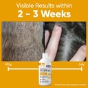 salmon-oil-for-dogs-and-cats-32-oz---ome-2.jpg