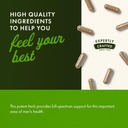 swanson-saw-palmetto---herbal-supplement-4.jpg